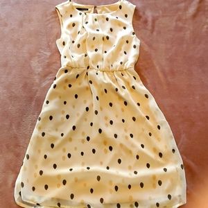 {Maurices} dotted dress